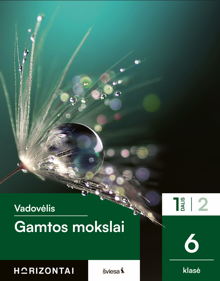 Gamta 6 1 d.